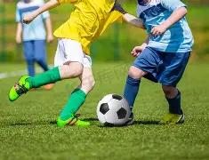 周扬青恋情,疑云,揭秘疑似好,乐鱼体育官网,乐鱼体育直播,体育赛事直播,足球直播