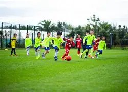 乐鱼体育,产品,乐鱼体育官网,乐鱼体育官网,乐鱼体育直播,体育赛事直播,足球直播