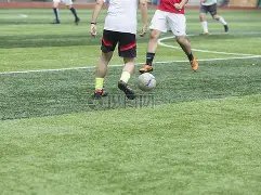 猫咪眼中主,人的地位是,怎样的,乐鱼体育官网,乐鱼体育直播,体育赛事直播,足球直播