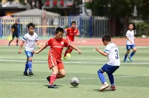 借出资金需,谨慎,套现行为可,乐鱼体育官网,乐鱼体育直播,体育赛事直播,足球直播