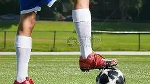 乐鱼体育 资讯 111417 o4c