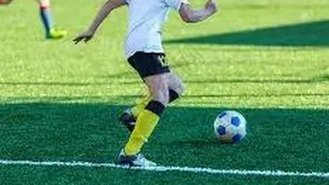 乐鱼体育 资讯 131913 7uz