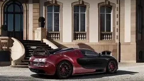 川农学子助力两大赛事