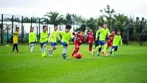 乐鱼体育 产品 103005 3qw