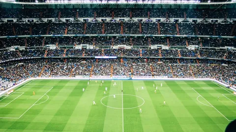 郑钦文心碎时刻：启蒙恩师受重创，悲剧现场触动人心