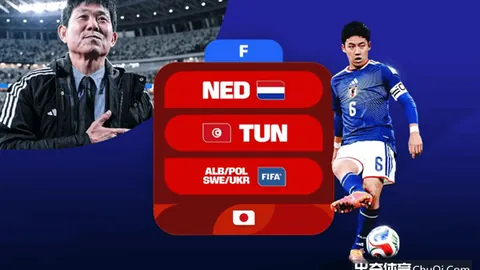 CBA焦点 宁波对阵广州 让分解析